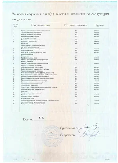 Диплом ИППиП, приложение